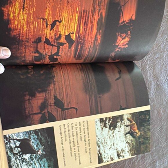 Vintage National geographic Books For Young Explorlers Set of 6 - Picture 13 of 16